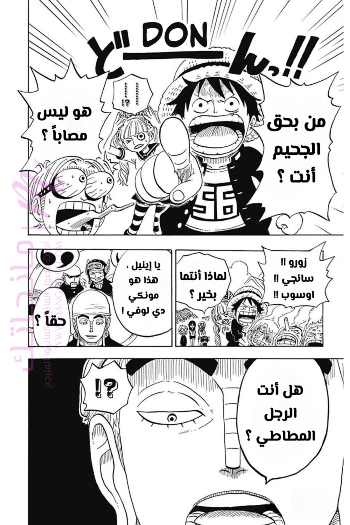 الصفحة 13