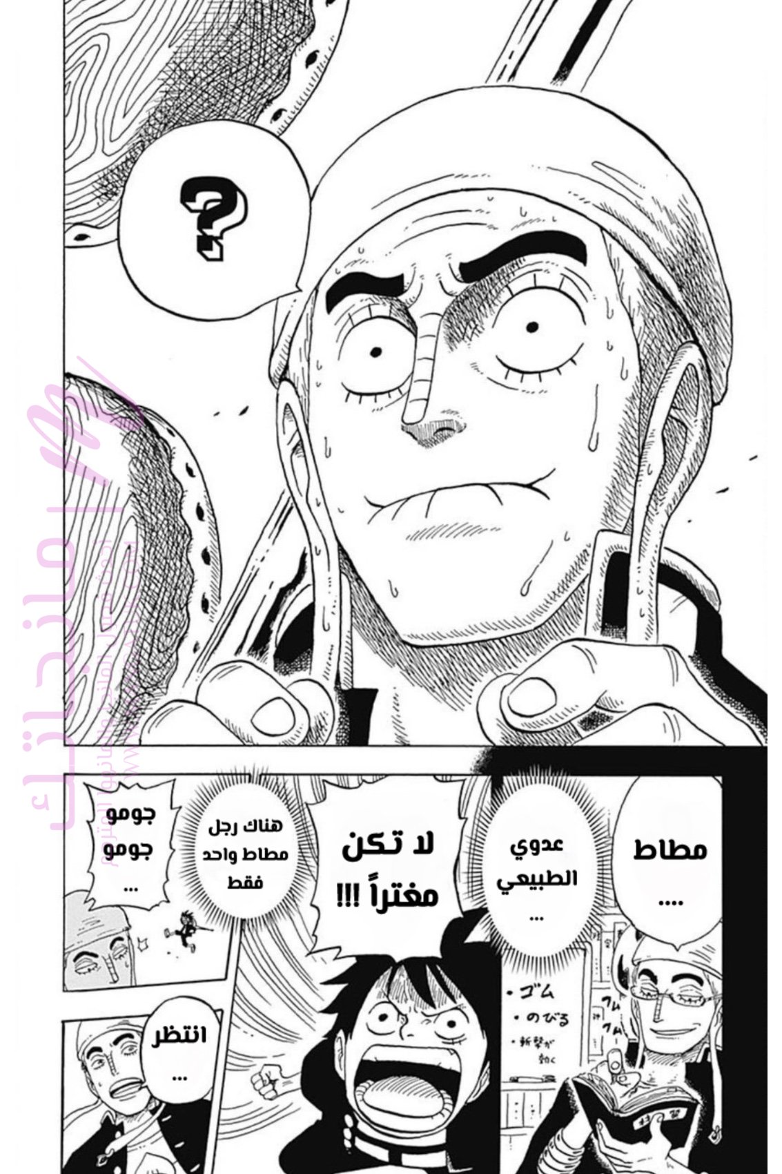 الصفحة 17