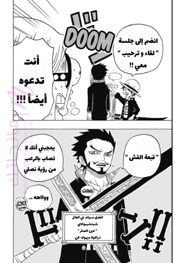 الصفحة 13