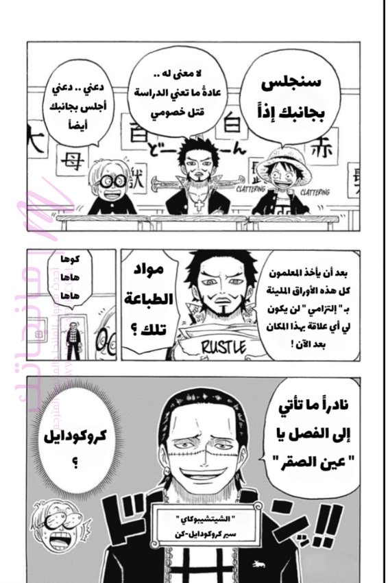 الصفحة 17