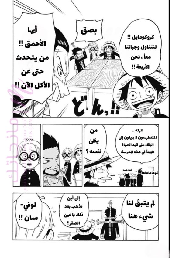 الصفحة 19