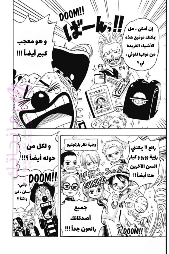 الصفحة 13