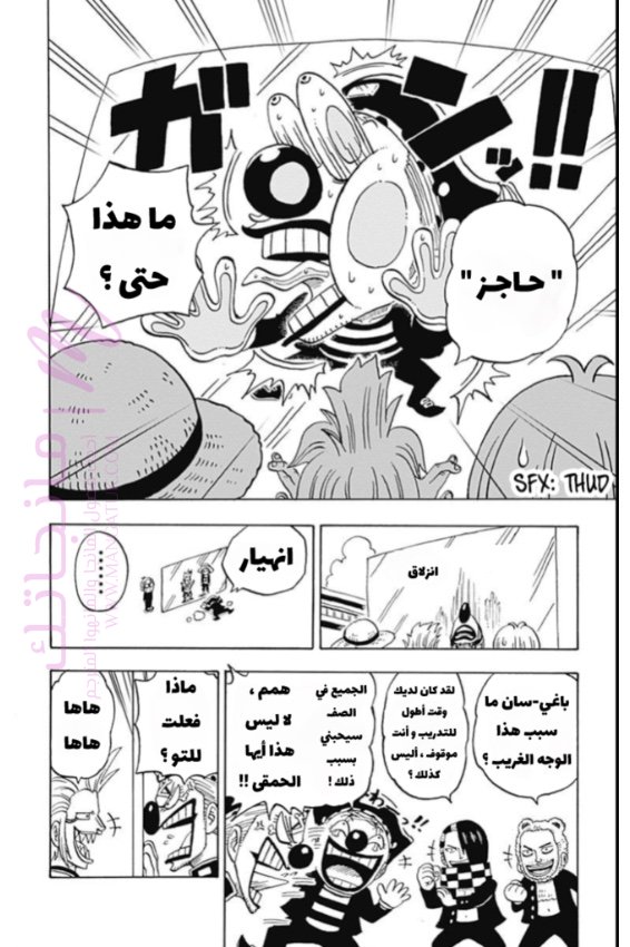 الصفحة 17