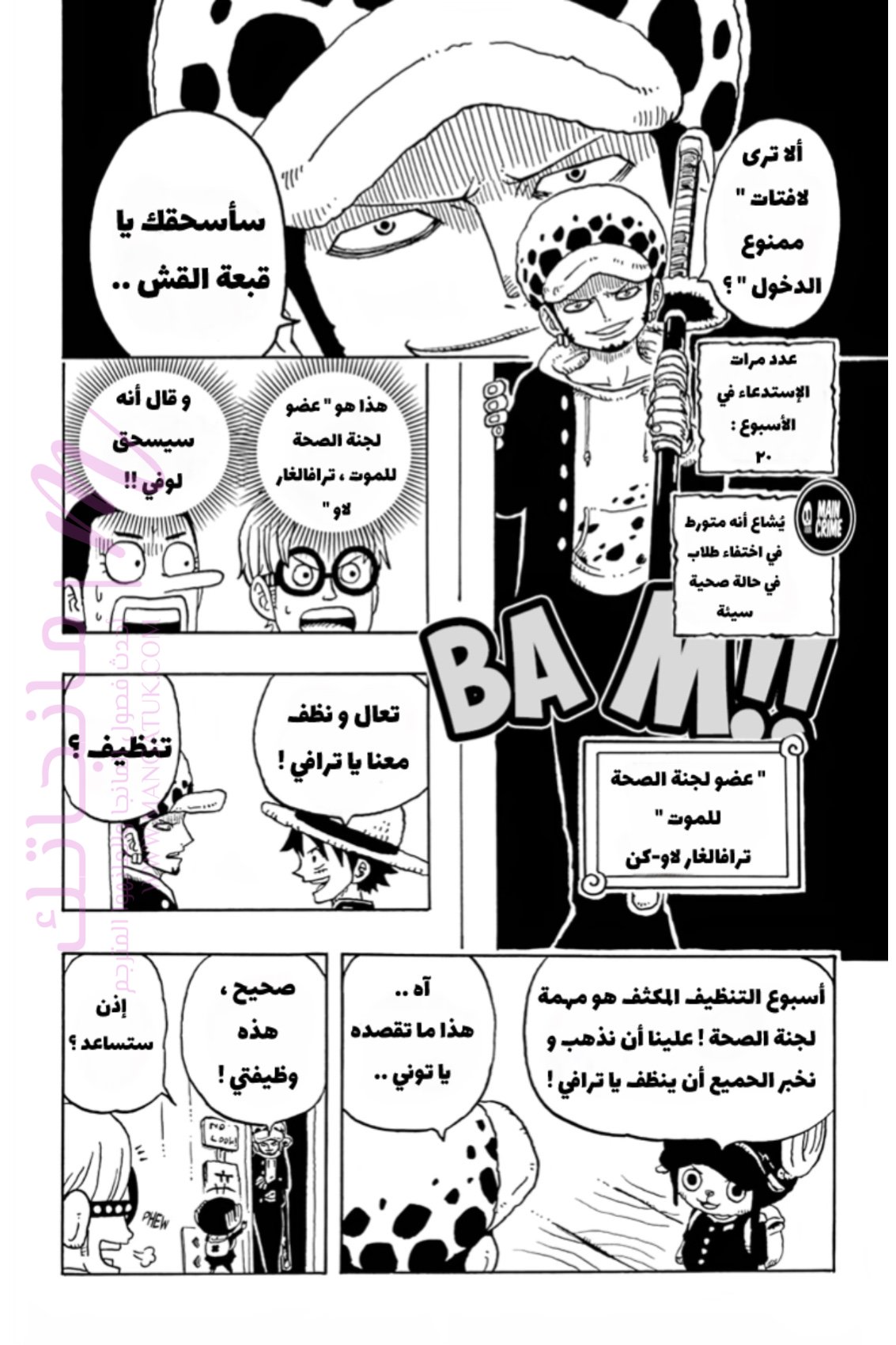 الصفحة 17