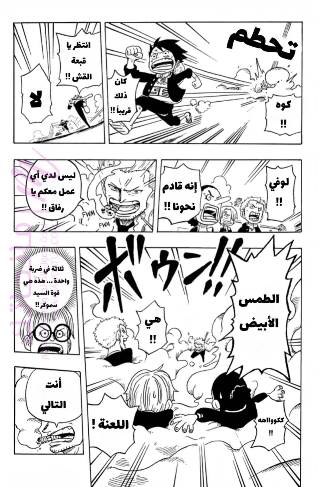 الصفحة 24