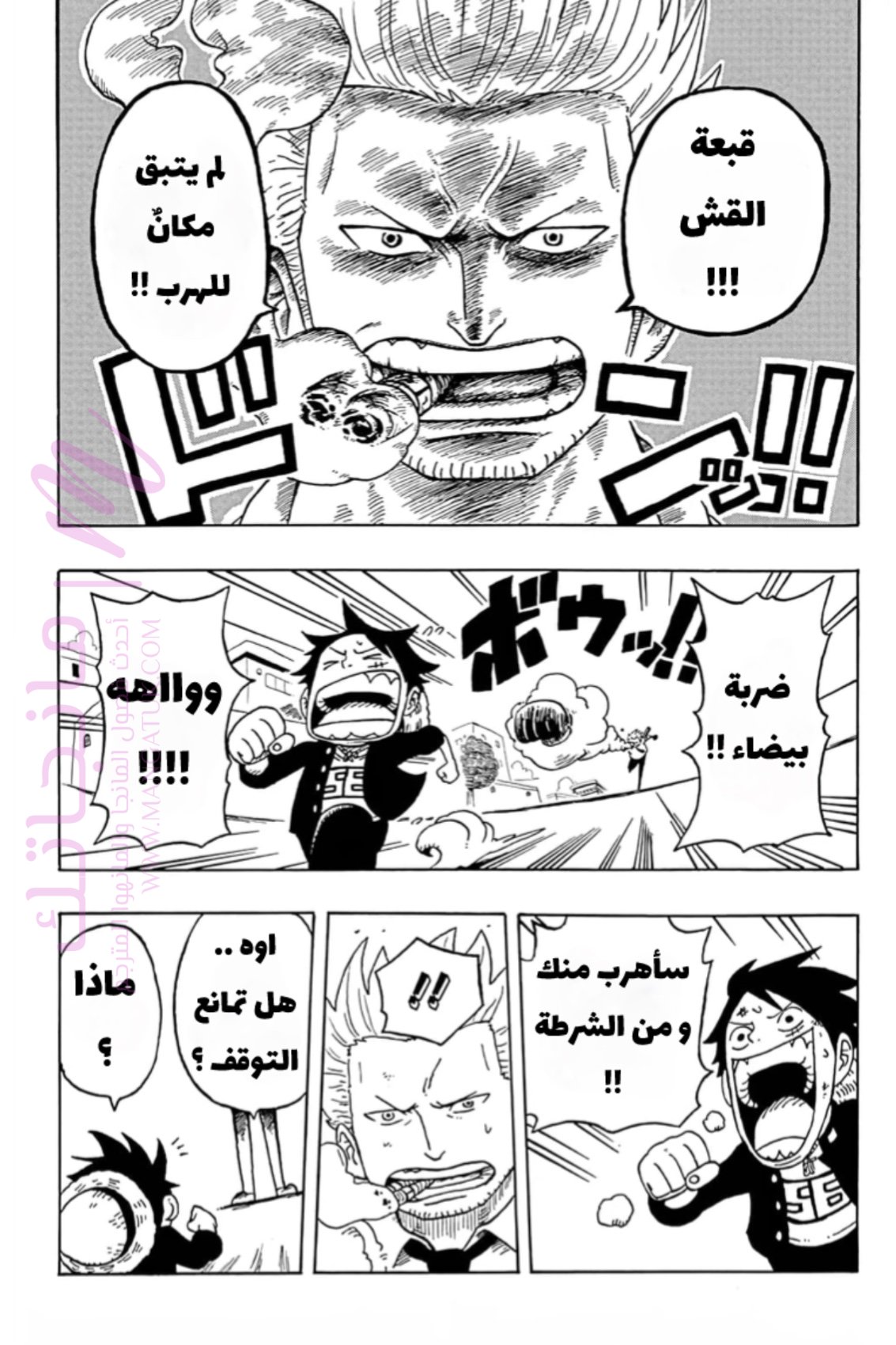 الصفحة 25