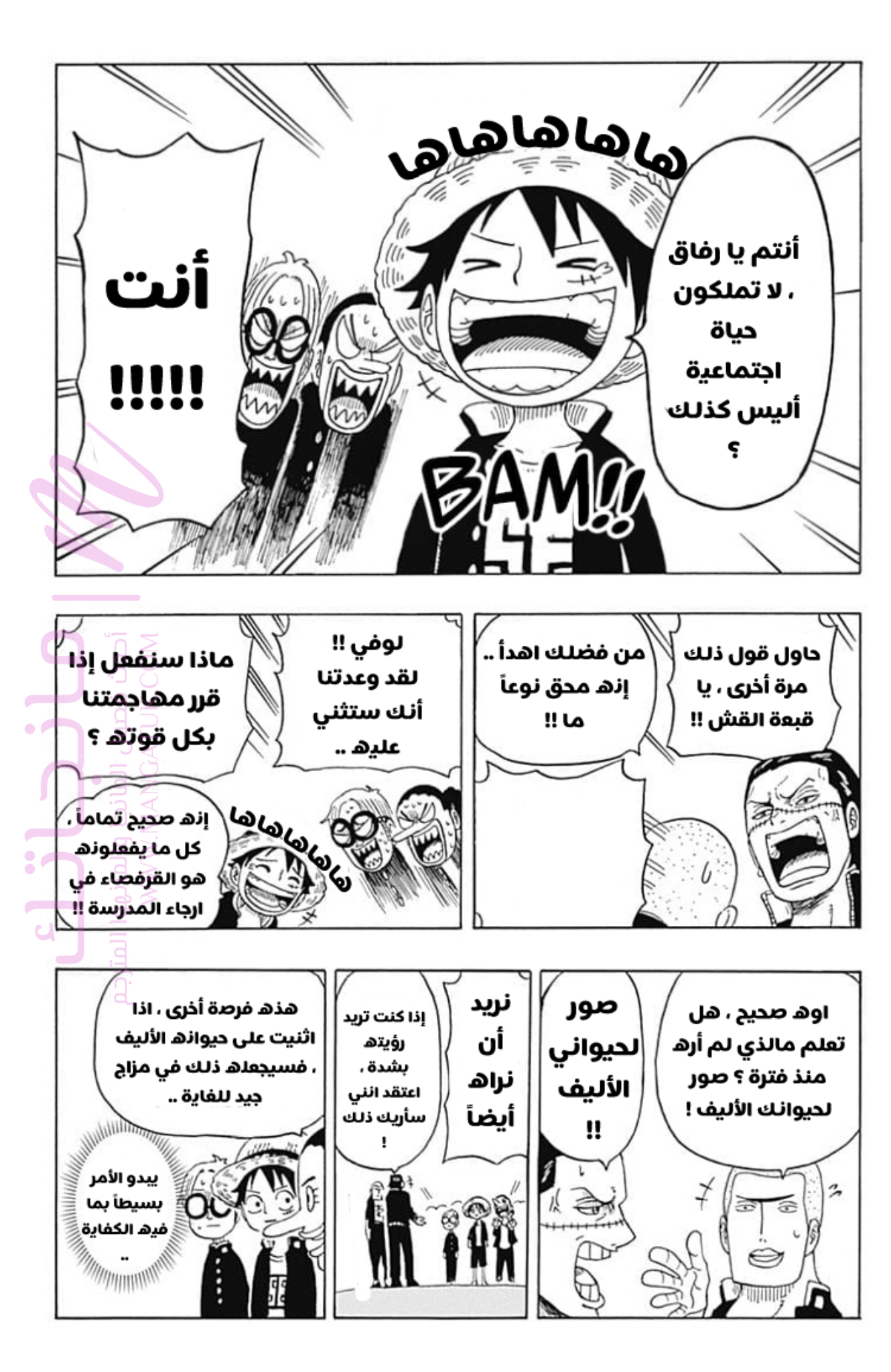 الصفحة 19