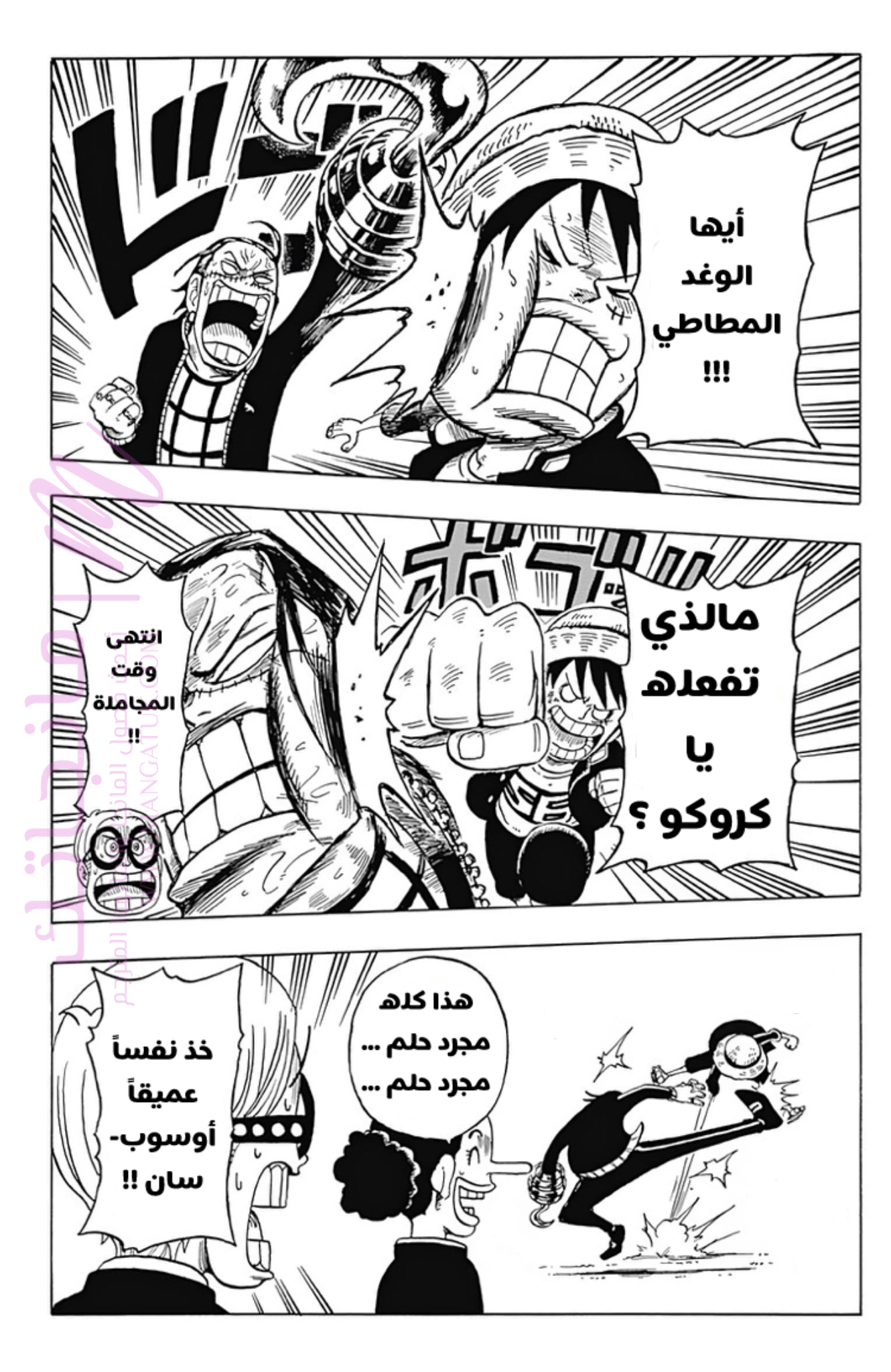 الصفحة 25