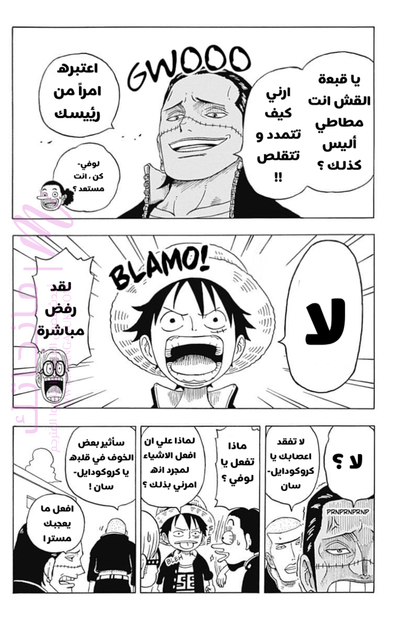 الصفحة 13