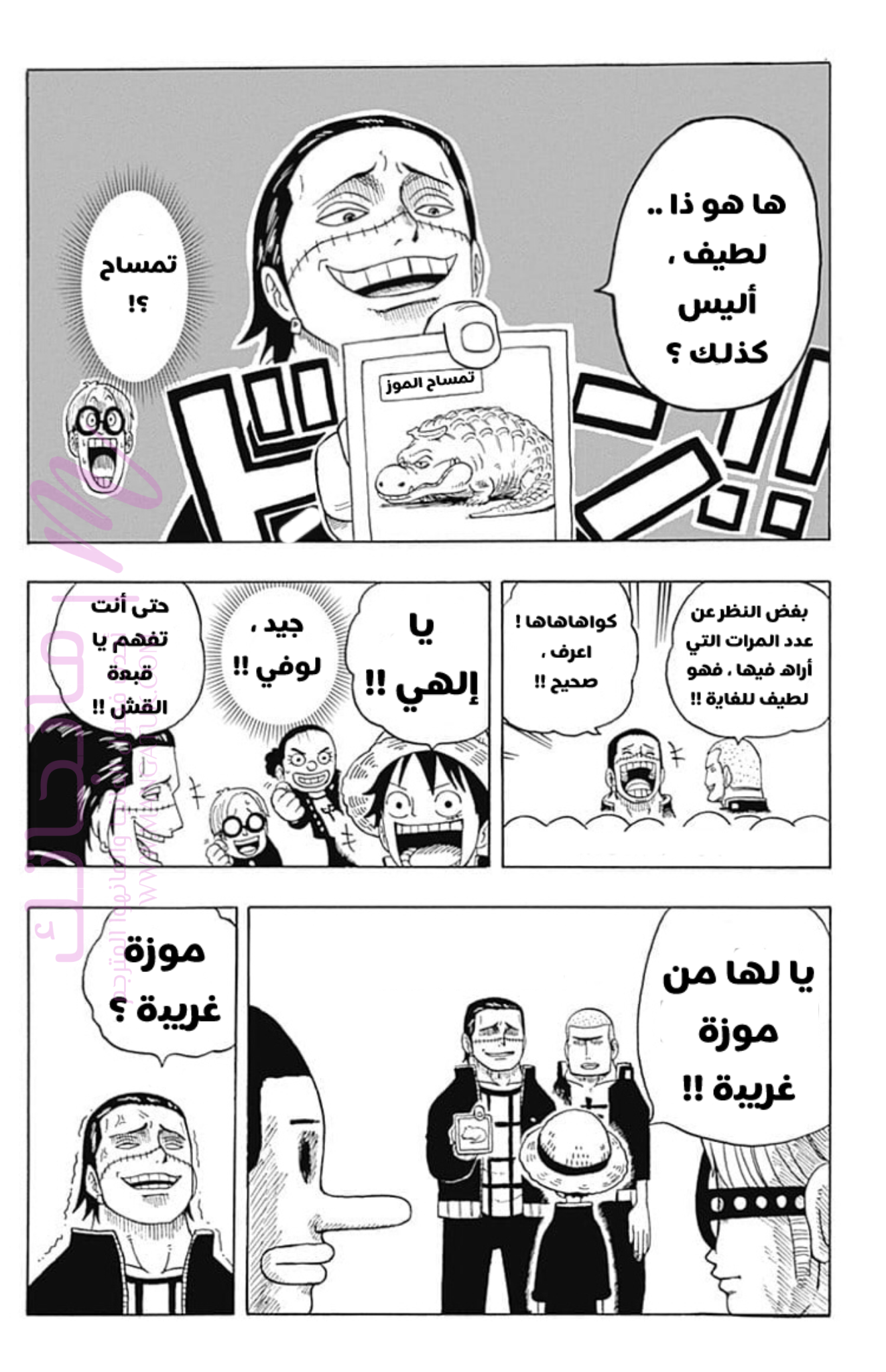 الصفحة 19