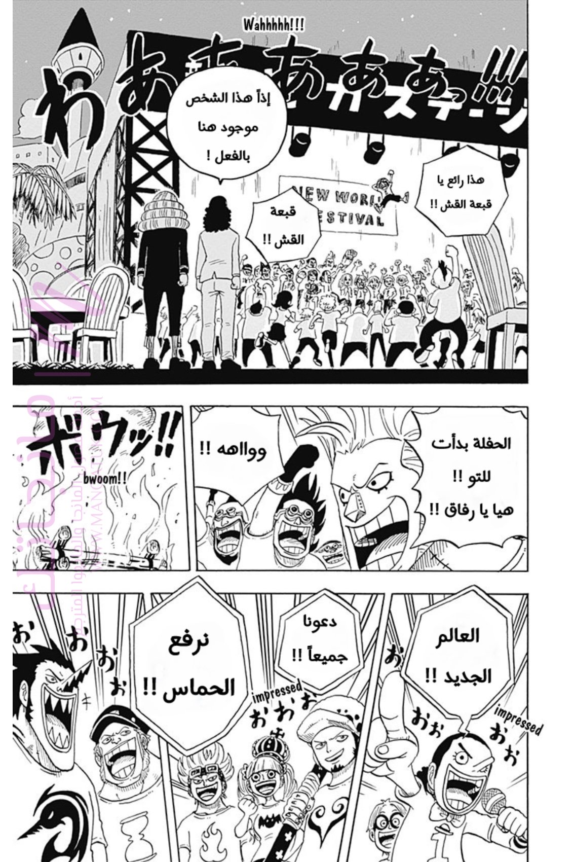 الصفحة 24