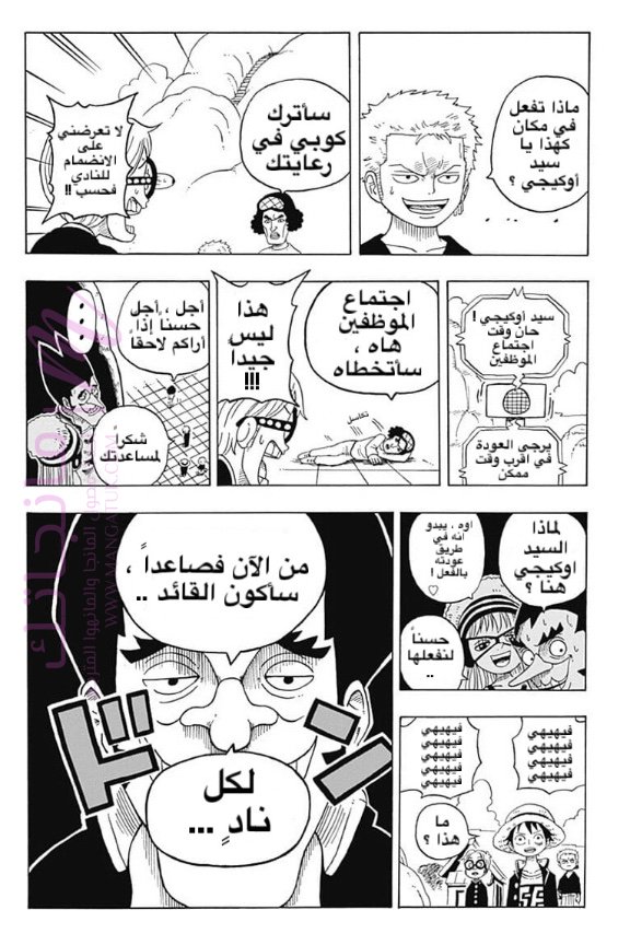 الصفحة 13