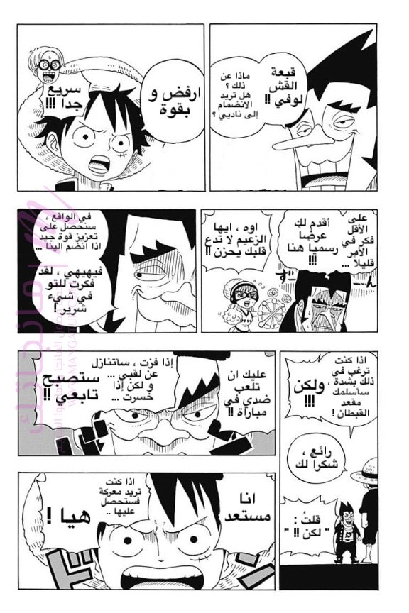 الصفحة 17