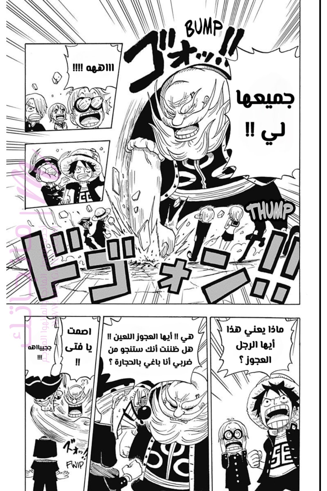 الصفحة 13