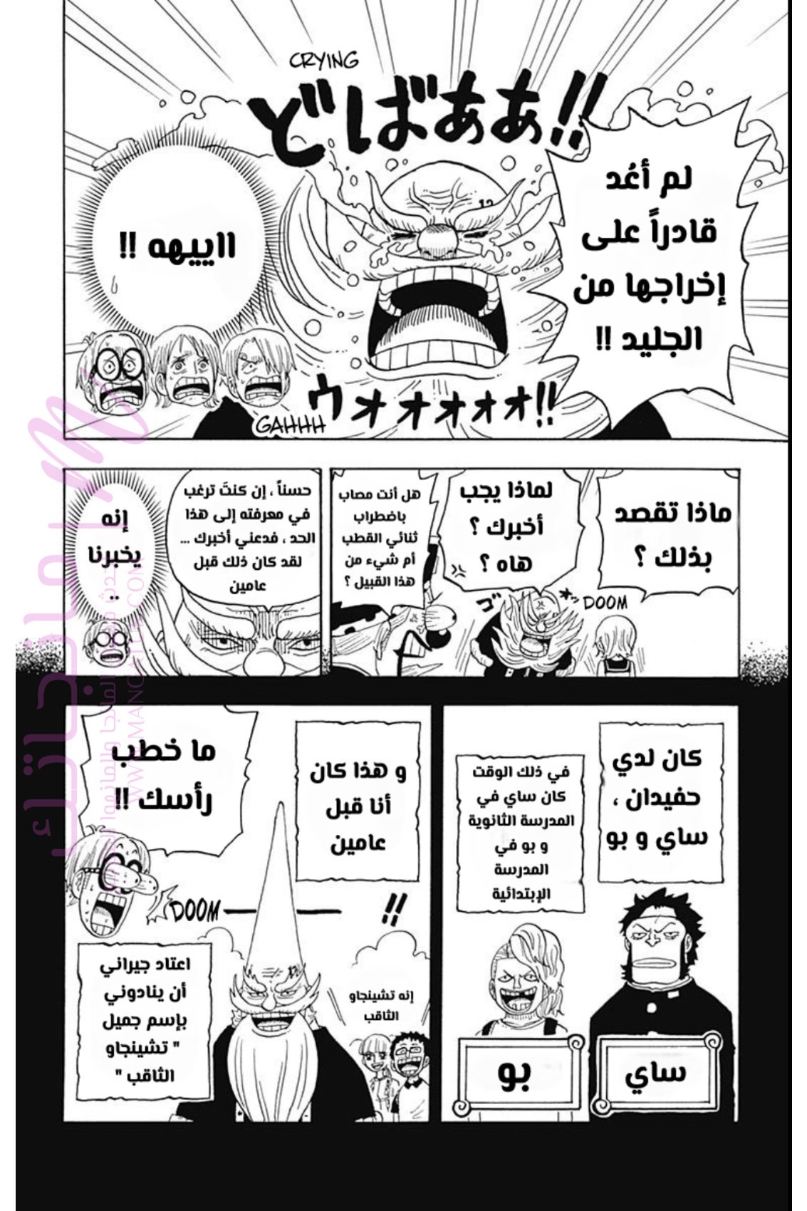 الصفحة 16