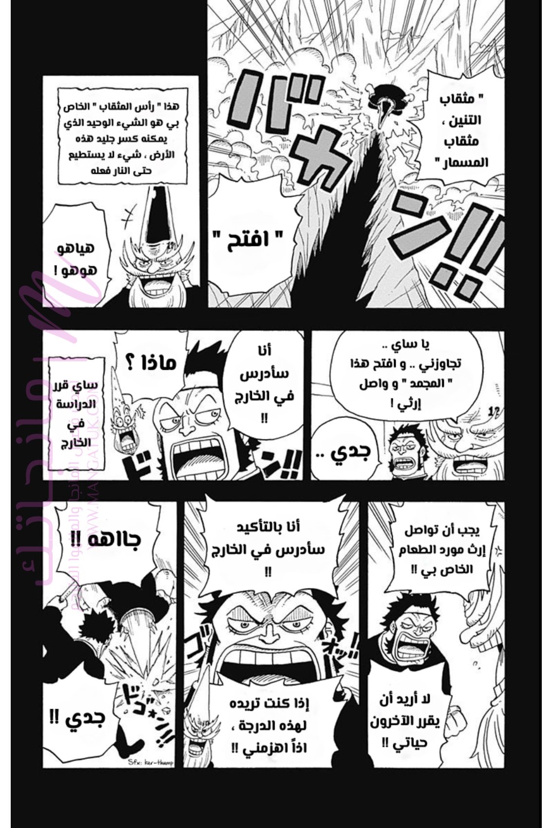 الصفحة 17