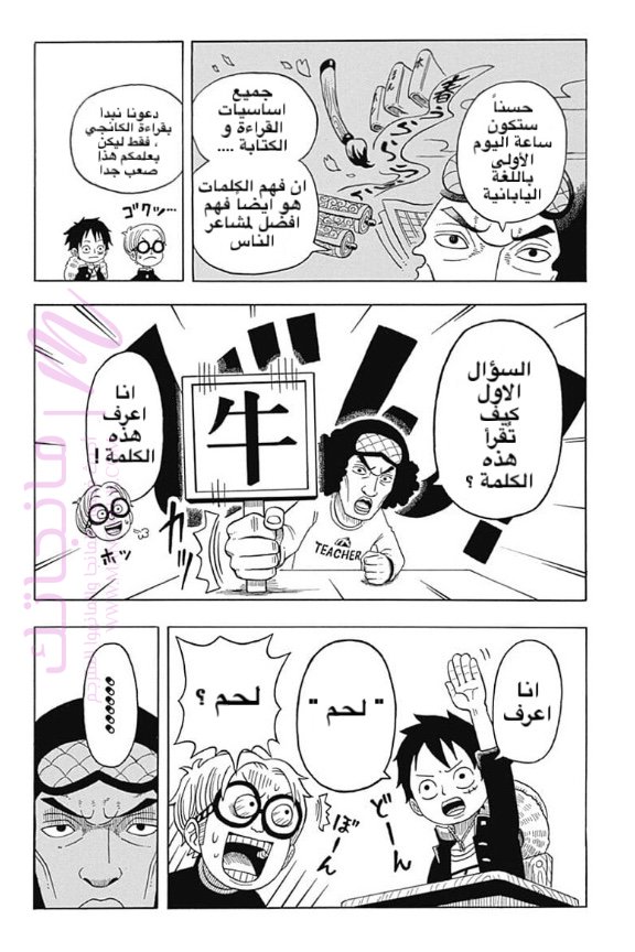 الصفحة 13
