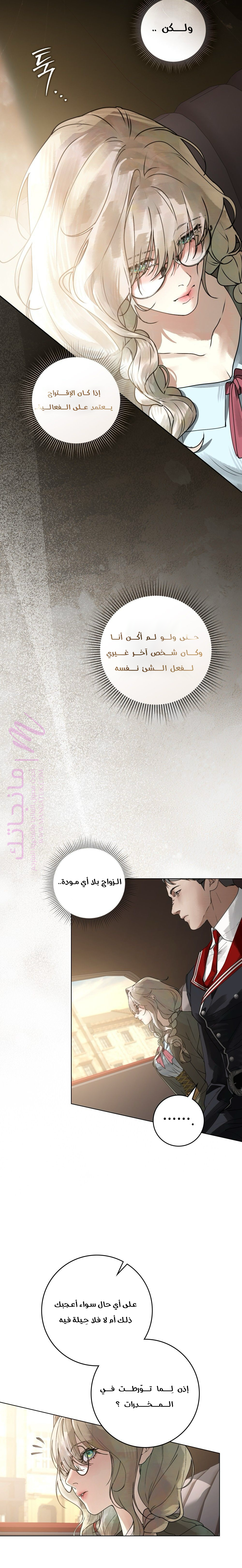الصفحة 13