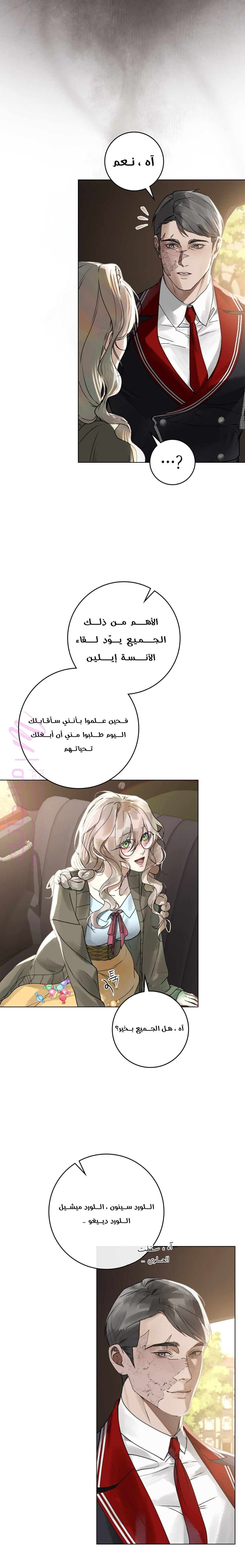 الصفحة 17