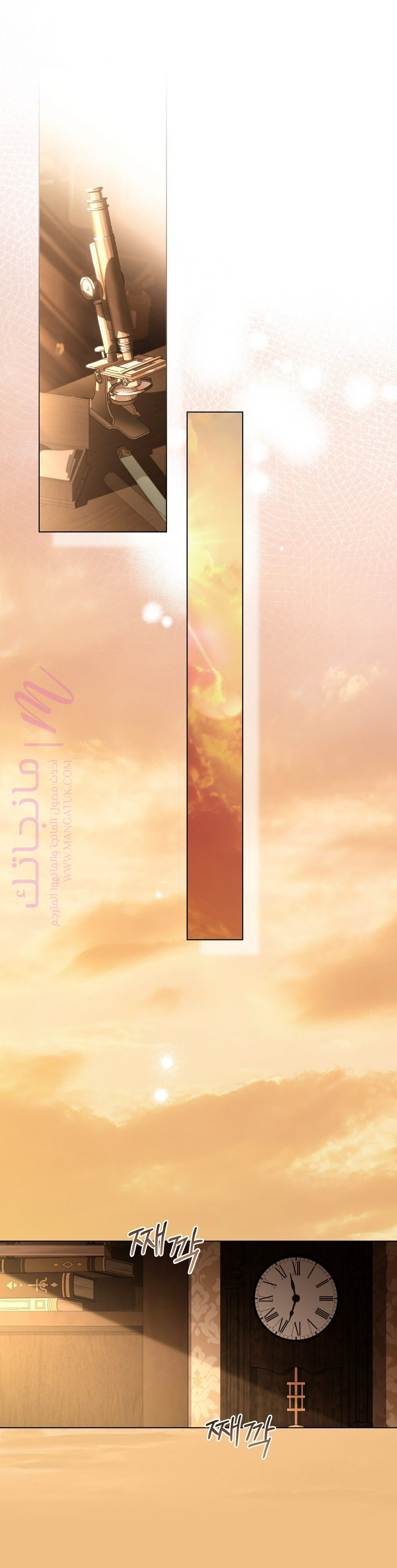 الصفحة 19