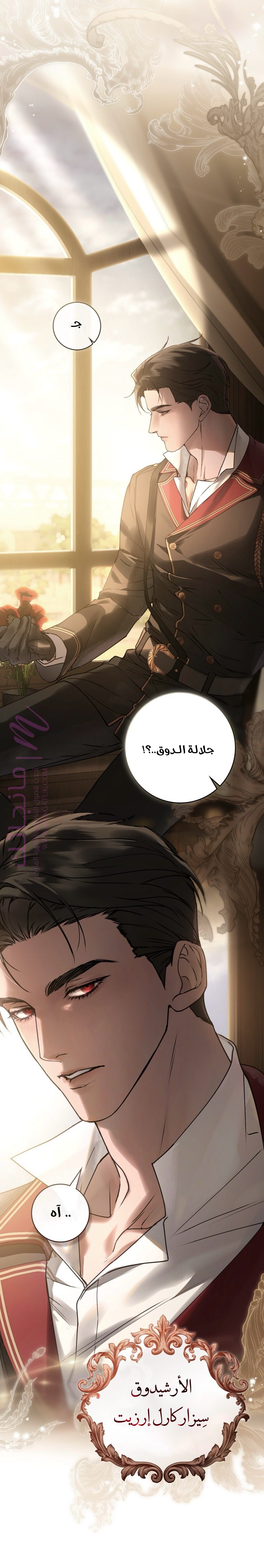 الصفحة 21