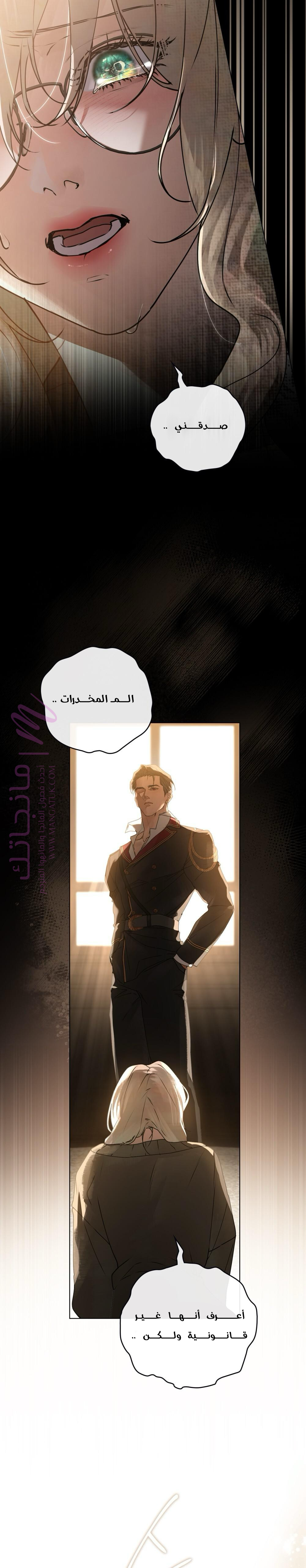 الصفحة 27