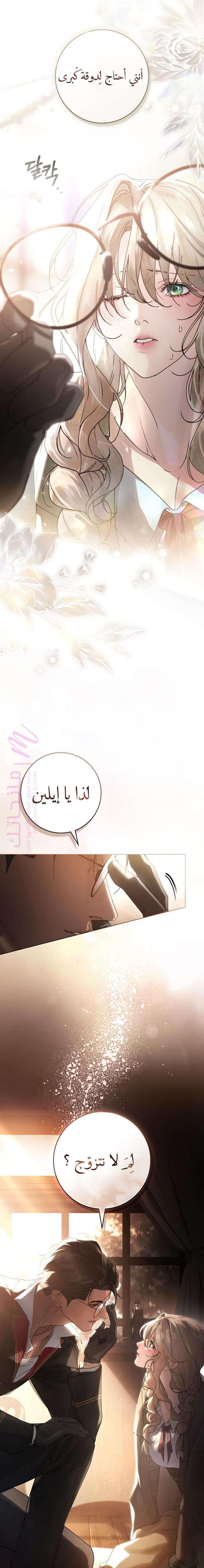 الصفحة 29
