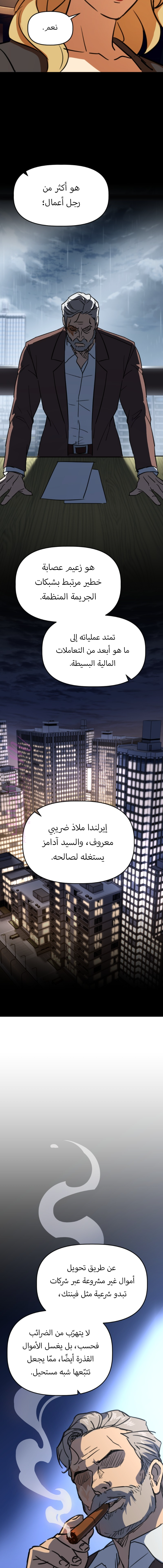 الصفحة 17