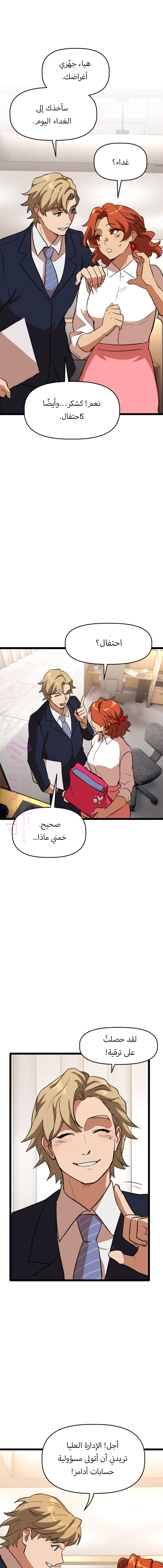 الصفحة 17