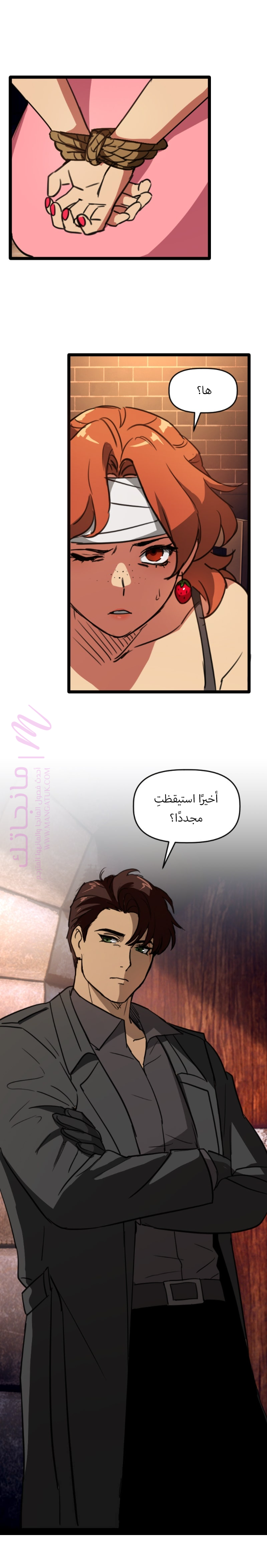 الصفحة 25