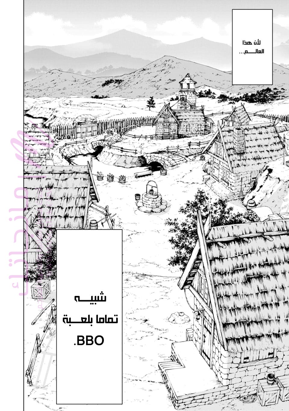 الصفحة 13