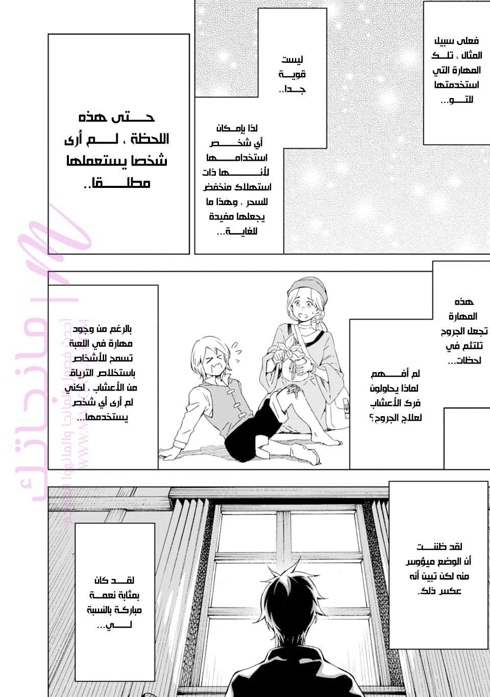 الصفحة 17