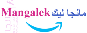 الصفحة 17
