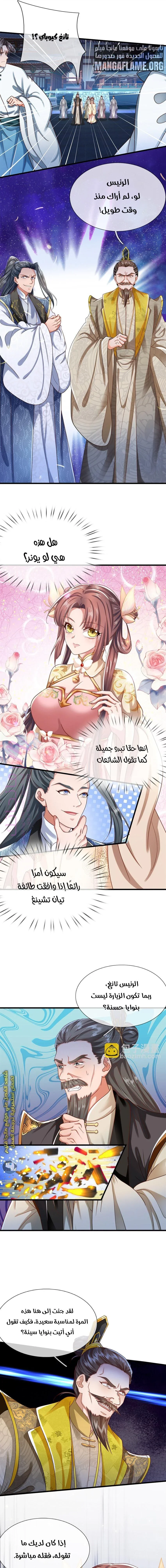 الصفحة 11