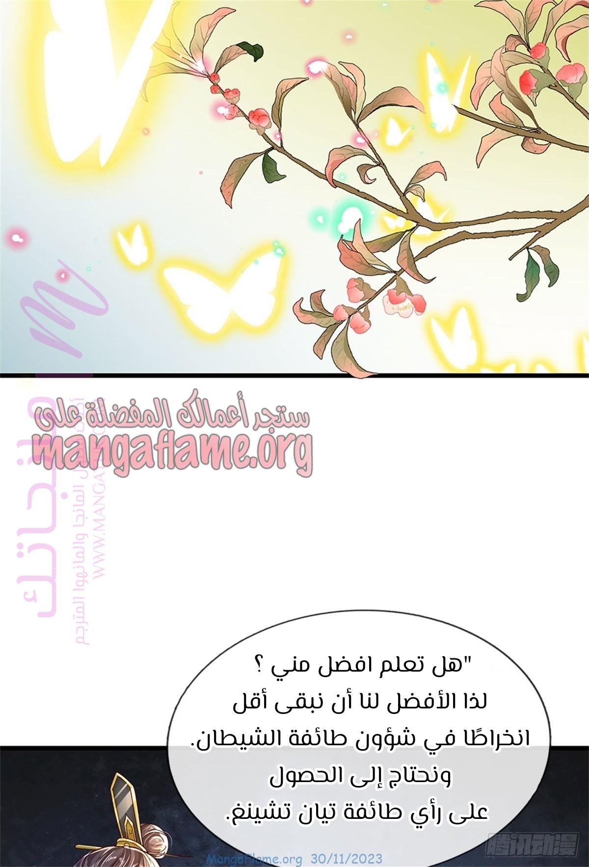 الصفحة 14
