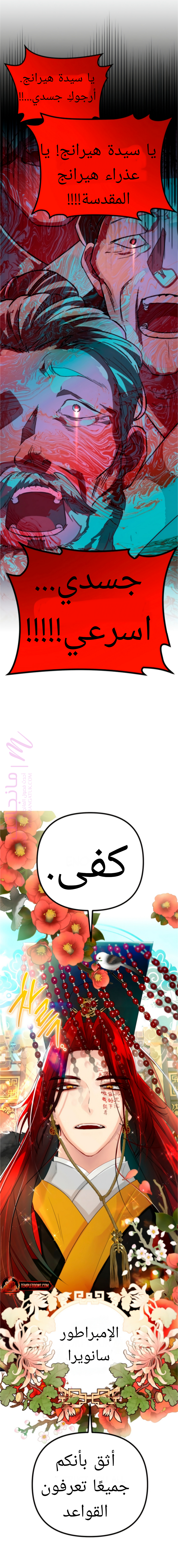 الصفحة 11
