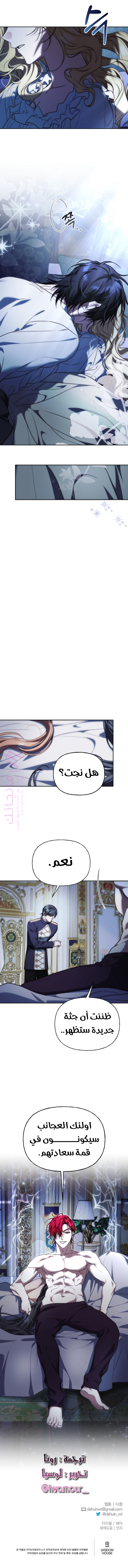 الصفحة 13