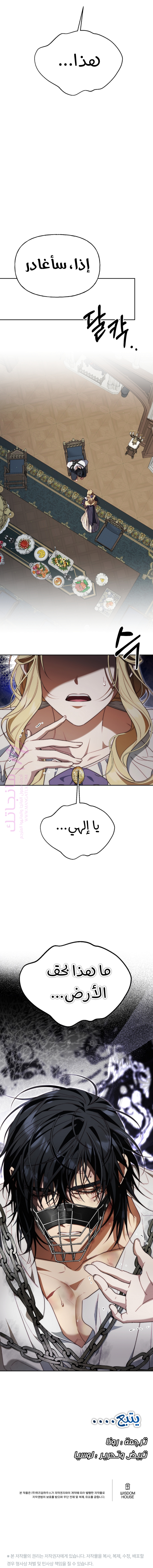 الصفحة 13