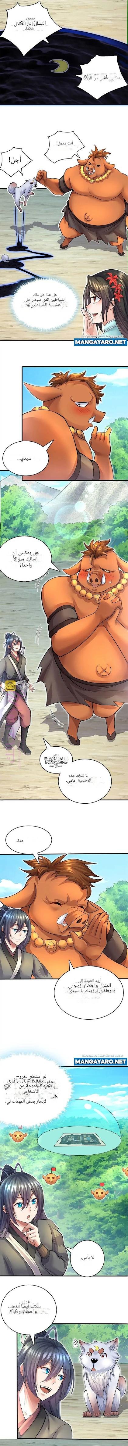 الصفحة 3