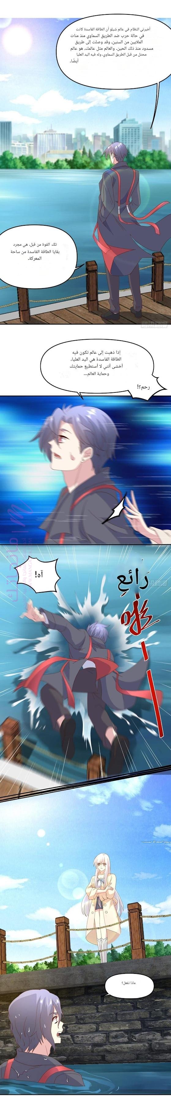 الصفحة 11