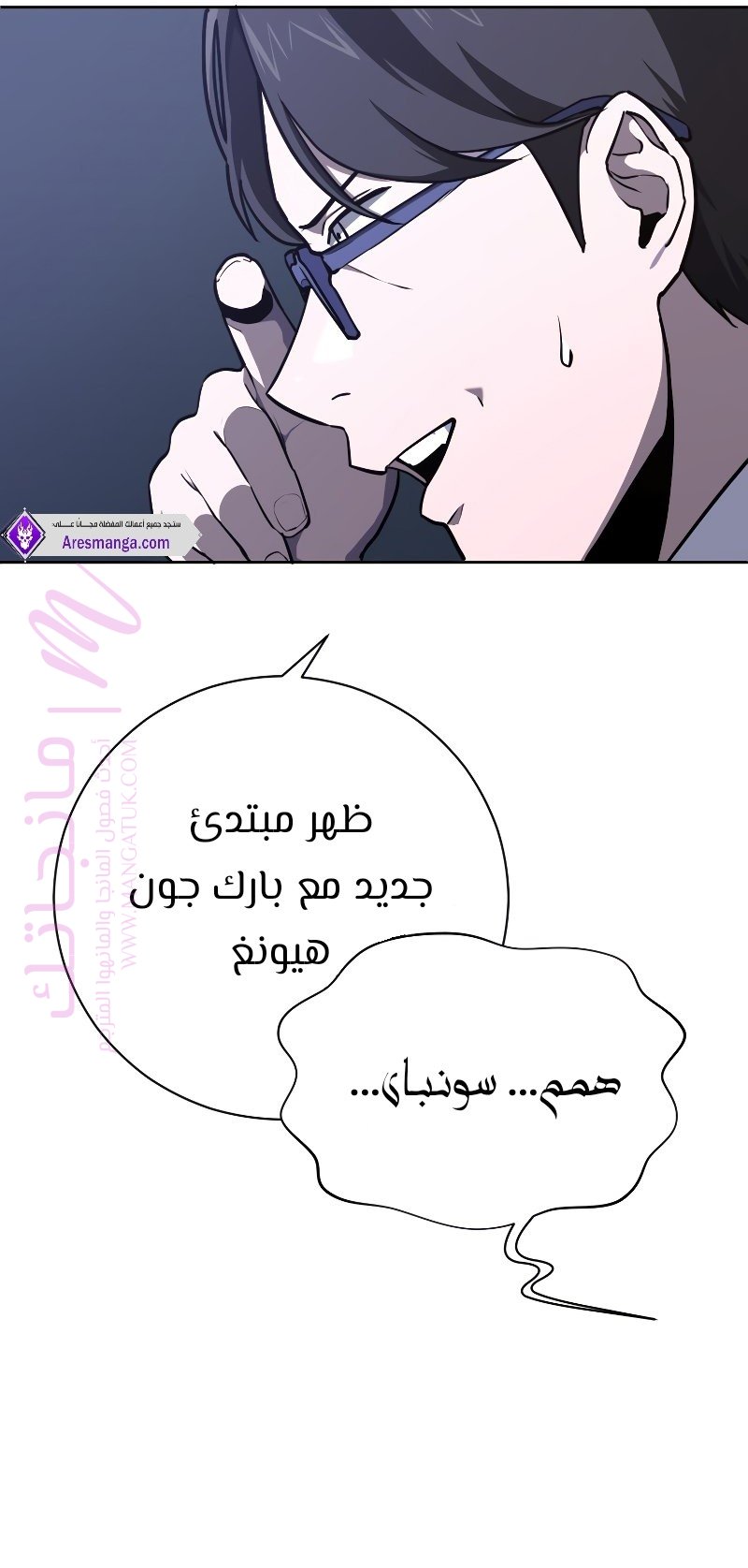الصفحة 27