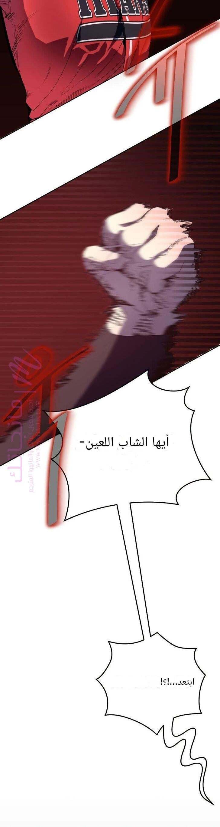 الصفحة 13
