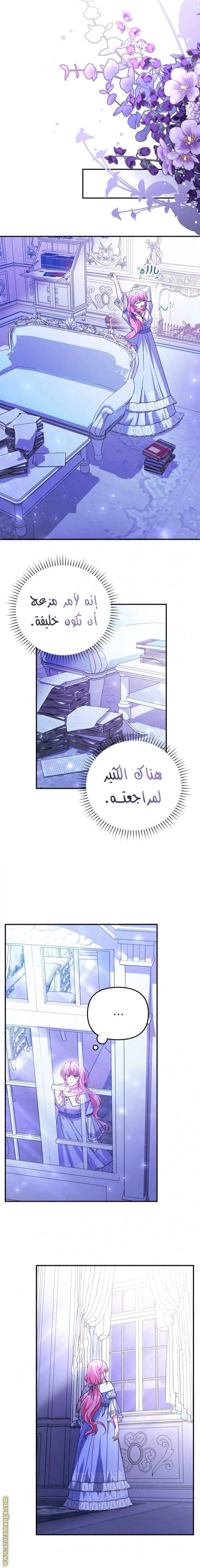 الصفحة 12
