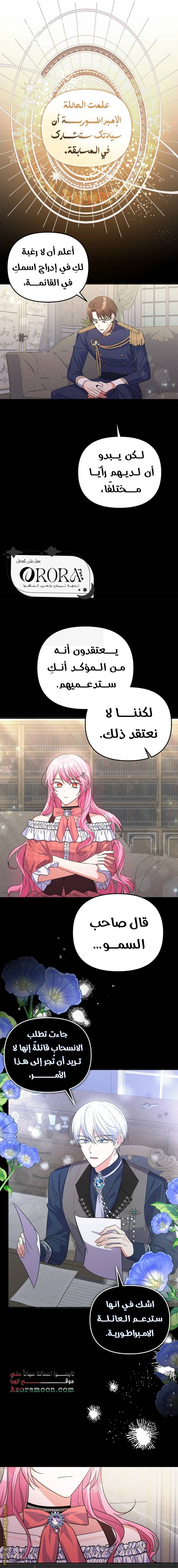 الصفحة 13