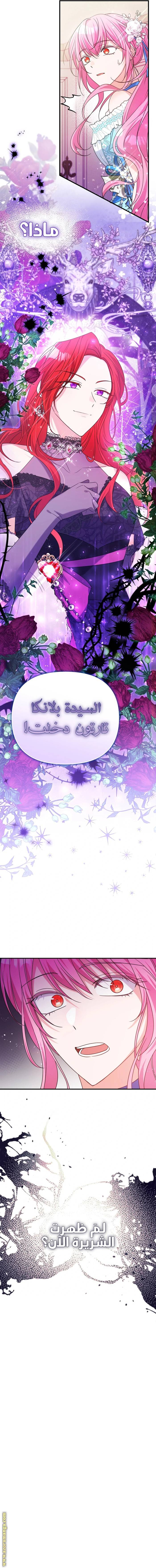 الصفحة 17