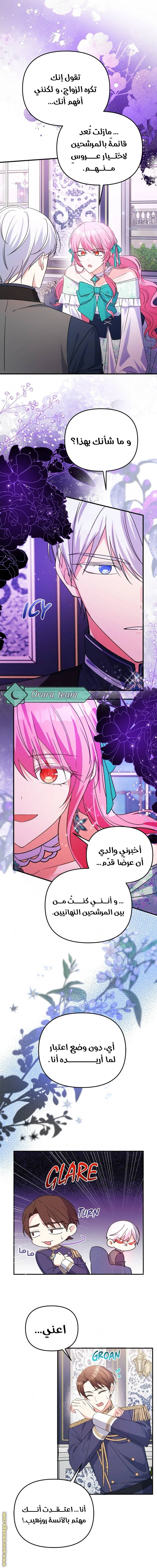 الصفحة 4
