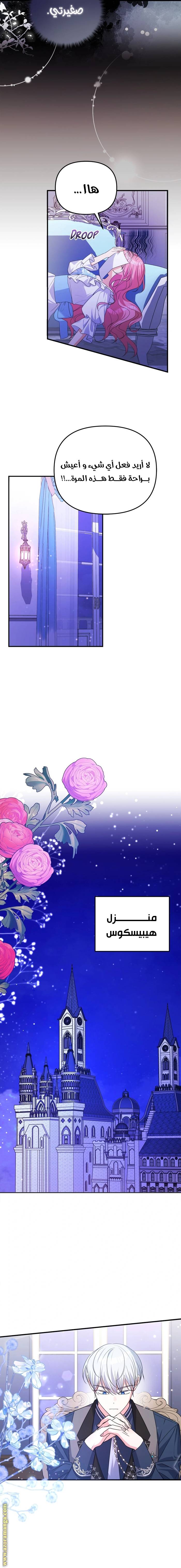 الصفحة 12