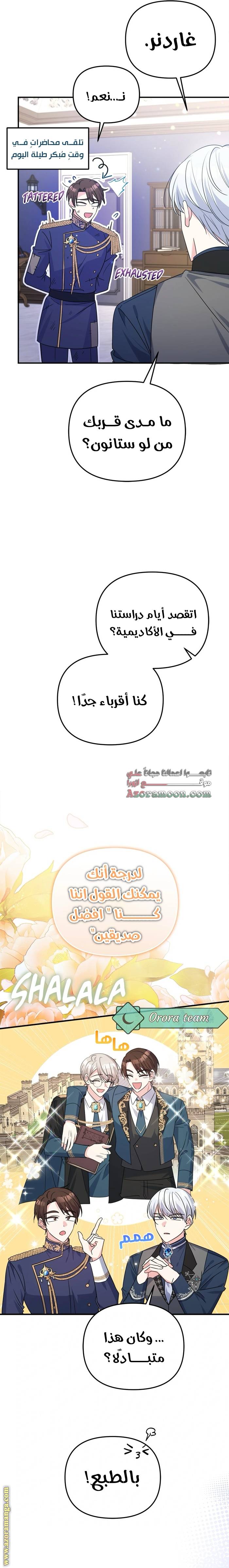 الصفحة 13