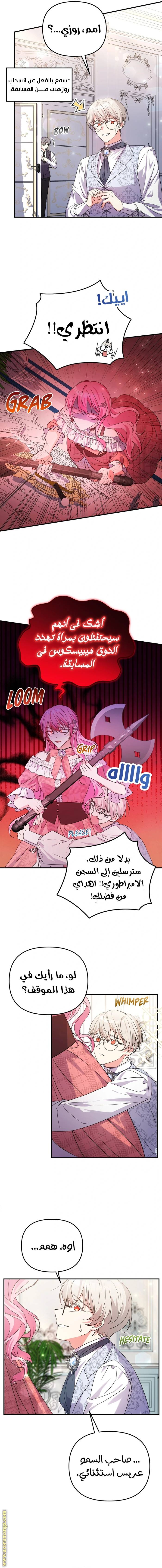 الصفحة 17