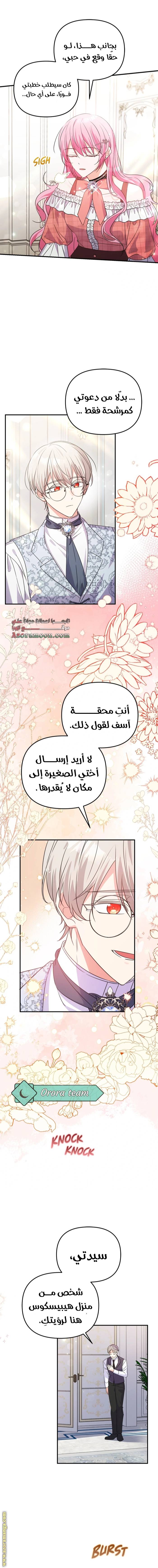 الصفحة 19